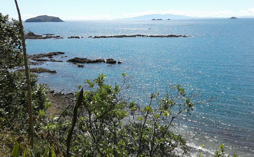 Flotsam &Jetsam at the Tiny Museum Rakino Island