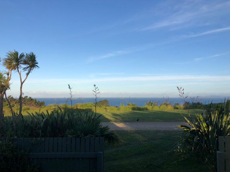 rakinohelicopter 1 768x576