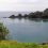 Flora and Vegetation of Rākino Island Group, Inner Hauraki Gulf.