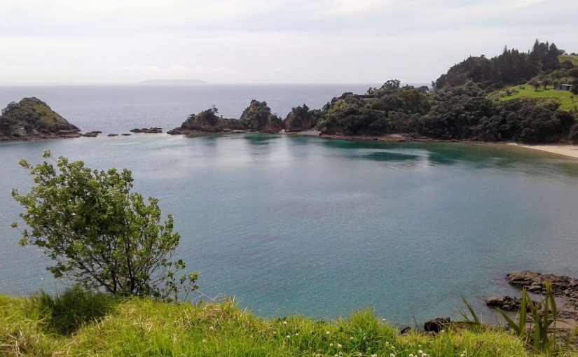 Flora and Vegetation of Rākino Island Group, Inner Hauraki Gulf.